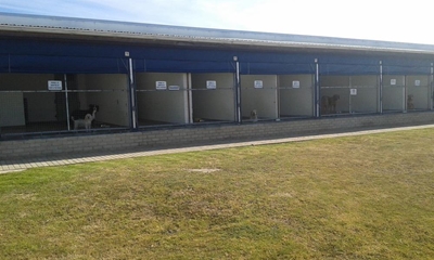 MySchool funds help SPCA
