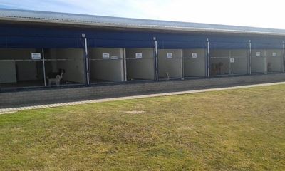MySchool funds help SPCA