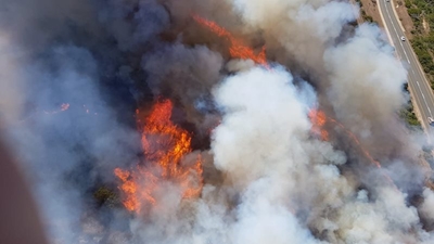 Brand woed steeds