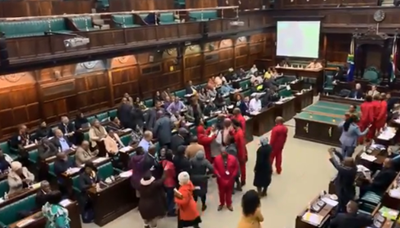 Chaos in parliament as scuffle breaks out 