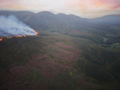 Heidelberg wildfire stabilises as crews maintain control