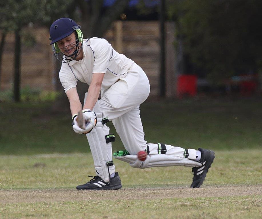 Young cricketers showcase their talent