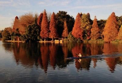 Joburg parks to open on Wednesday, under these rules