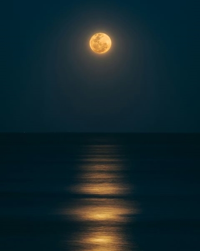 Safety alert: Full moon spring tide