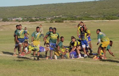 Nuwe hoofstuk vir Seagulls