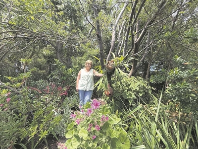 Plettenberg Bay gardens bloom for Paws… and  a good cause