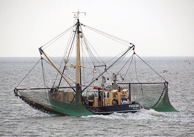 Timeframes for Fishing Rights Allocation Process announced