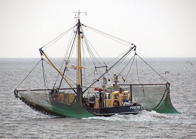 Timeframes for Fishing Rights Allocation Process announced