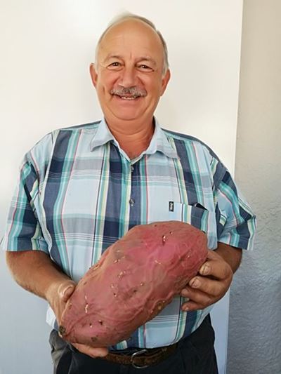 Stilbaai se reusepatat