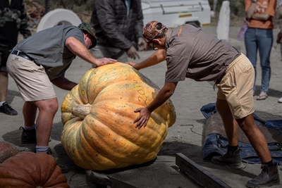 Pump-Palooza Pampoenfees skrik vir niks