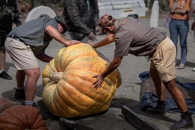 Pump-Palooza Pampoenfees skrik vir niks