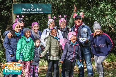 Three new exciting forest adventures for Oyster Fest