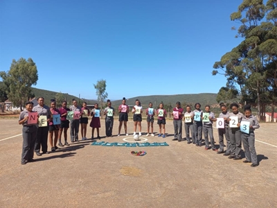 Herbies bankvas vir netbalprojek
