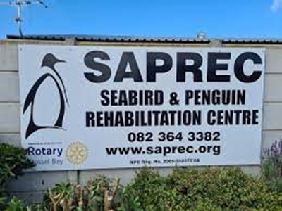 Visit the Seabird and Penguin Rehabilitation Centre