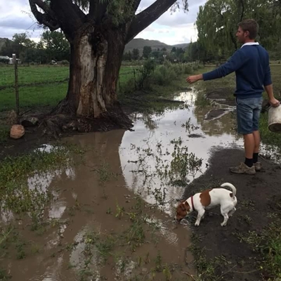 'Adopt-A-Tree' in Nieu-Bethesda