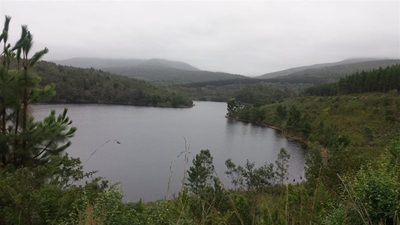 Garden Route Dam level update