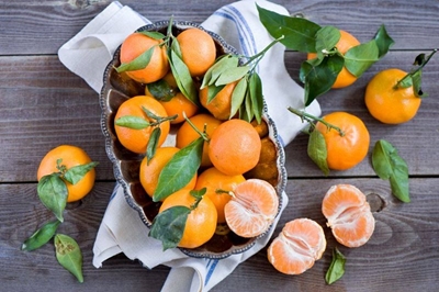 Some 120,000 jobs might be created due to citrus exports from SA
