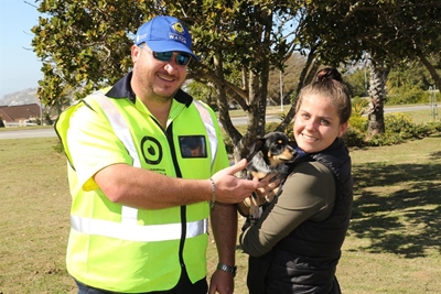 Groot soektog toe hondjie verdwyn