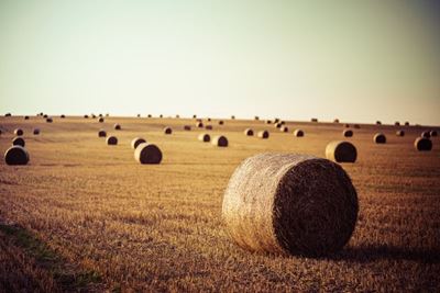 LandBank se afgradering wek kommer