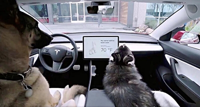 Tesla safeguards two of man's biggest loves