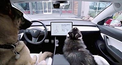 Tesla safeguards two of man's biggest loves