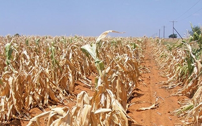 41 million people in Southern Africa to face food insecurity