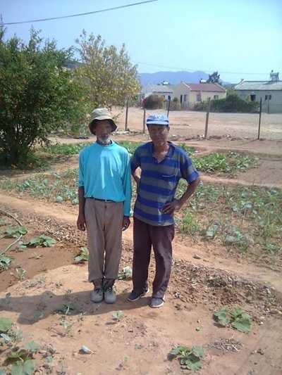 Groentetuine bring groot verligting vir hongeres