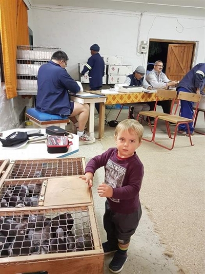 Pa en knapie van Karoo-hokke behaal driekuns!