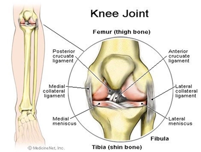 Knee injuries: Posterior Crucial Ligament (PCL)