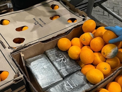 UK police find 49kg of cocaine hidden in oranges imported from SA