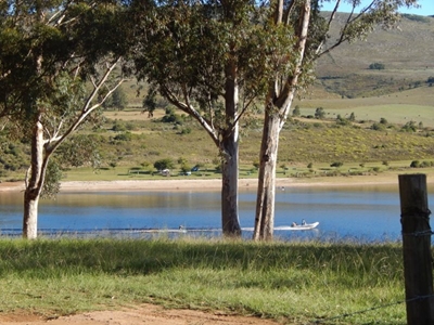 Olive Grovedam volste in dekades