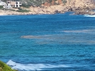 Red tide warning
