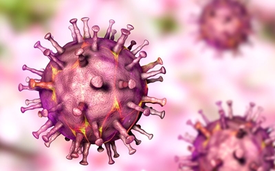 China reports progress in swine fever vaccine trials