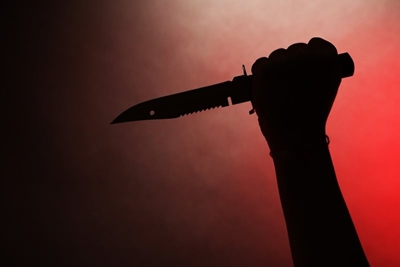 Woman stabbed 19 times, man arrested