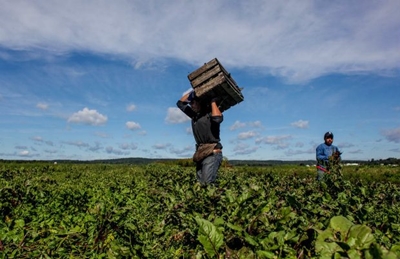 Farmworkers in the spotlight