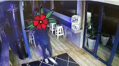Camera footage in focus as alleged Bungalow burglar arrested