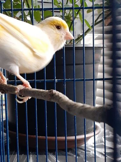 Animal antics: Show off your pet!