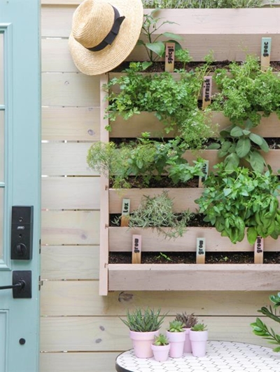 How to create a vertical garden