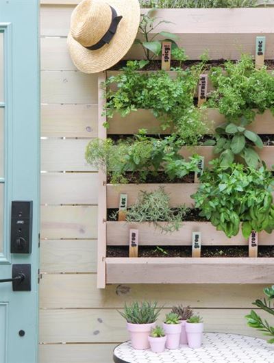 How to create a vertical garden