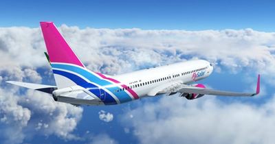 Passengers get scare as pilot falls ill mid-air