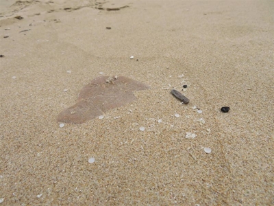 Residents collect 30 000 nurdles 