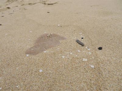 Residents collect 30 000 nurdles 