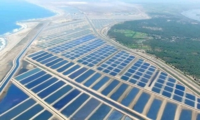 Aquaculture in Africa: the successes and failures