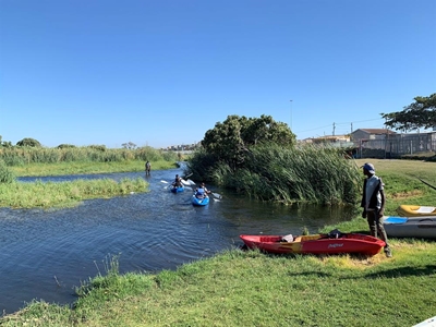 Local wetlands in focus
