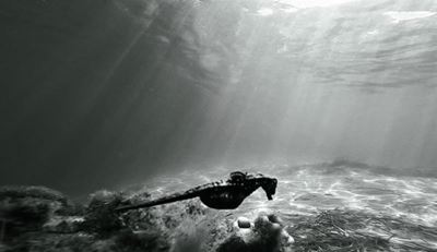 2nd Plett Marine Science Symposium on the cards