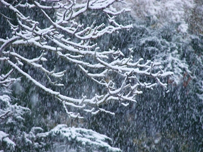 Another cold front with possible snowfall to hit Mzansi