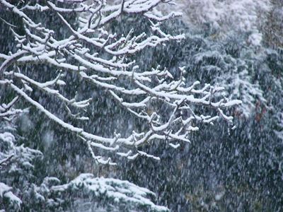 Another cold front with possible snowfall to hit Mzansi