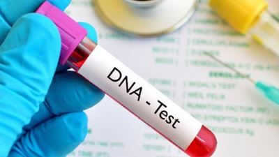 Parliament ‘confident’ forensic DNA backlog will soon be resolved