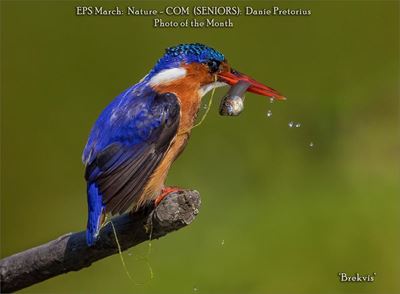EPS se wenfoto's vir Maart