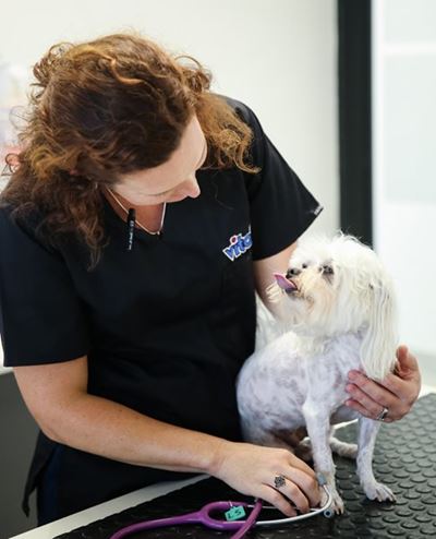 Vitalvet Animal Medical Centre: Compassionate care when it matters most